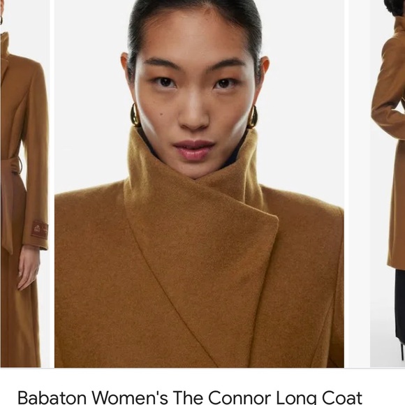 Aritzia Babyton the Connor long wool coat. - Picture 4 of 5